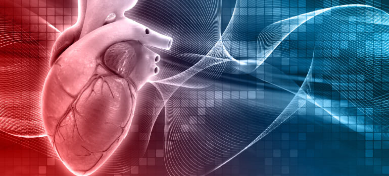 Kalp ve Damar Cerrahisi